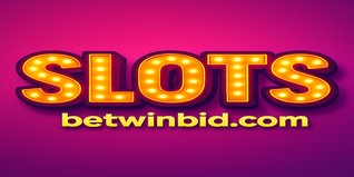 winbid খেলা